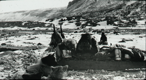 Image of Inuit leans on sledge, eating. Dogs